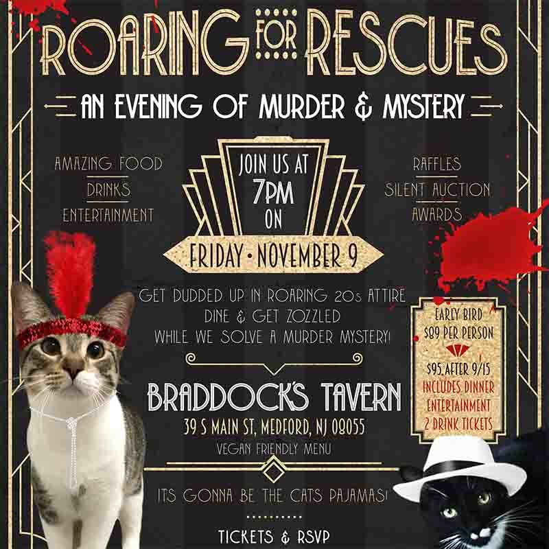 Murder Mystery Cat Rescue Fundraiser